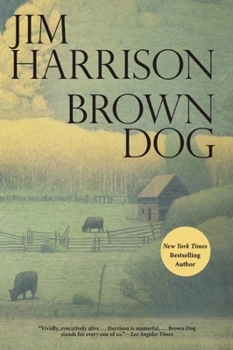 Paperback Brown Dog Book