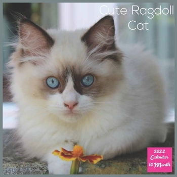 Cute Ragdoll Cat 2022 Calendar: Official Ragdoll Calendar 2022, 16 Month Square Calendar