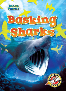 Library Binding Basking Sharks Book