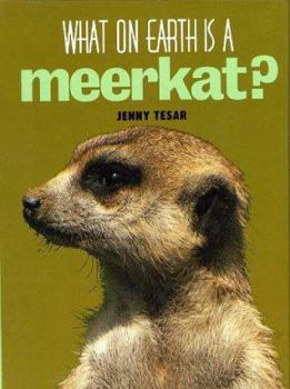 Hardcover What on Earth is a Meerkat? Book