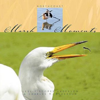 Paperback Marsh Moments: Northcoast Book
