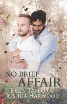 No Brief Affair - Book #1 of the Beyond Courtship