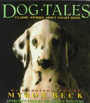 Hardcover Dog Tales: Classic Stories about Smart Dogs Book