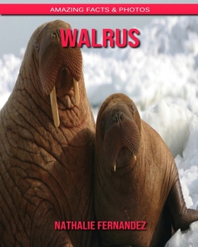 Paperback Walrus: Amazing Facts & Photos Book