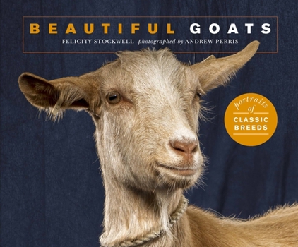 Paperback Beautiful Goats: Portraits of Champion Breeds Book