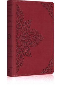 Paperback Compact Bible-ESV-Filigree Book