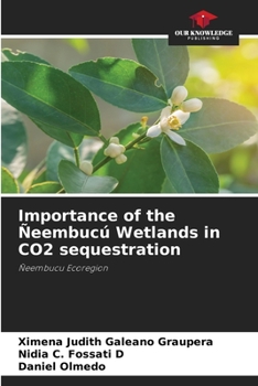 Importance of the Ñeembucú Wetlands in CO2 sequestration: Ñeembucu Ecoregion