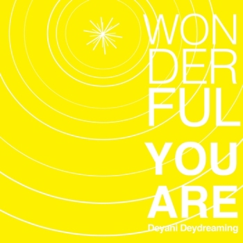 Paperback wonderful you are Book