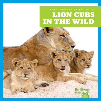 Library Binding Lion Cubs in the Wild Book