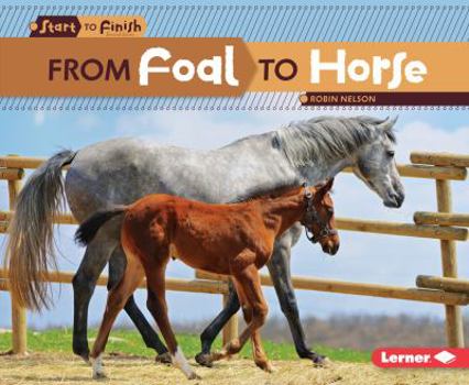 From Foal to Horse - Book  of the Start to Finish, Second Series