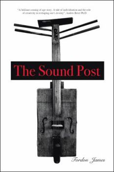 Paperback The Sound Post Book