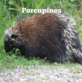 Paperback Porcupines 8.5 X 8.5 Calendar September 2021 -December 2022: Monthly Calendar with U.S./UK/ Canadian/Christian/Jewish/Muslim Holidays-Nature Animals W Book