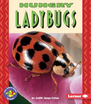 Paperback Hungry Ladybugs Book