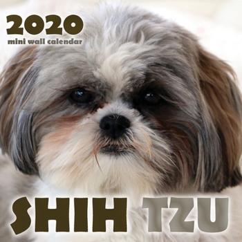 Shih Tzu 2020 Mini Wall Calendar