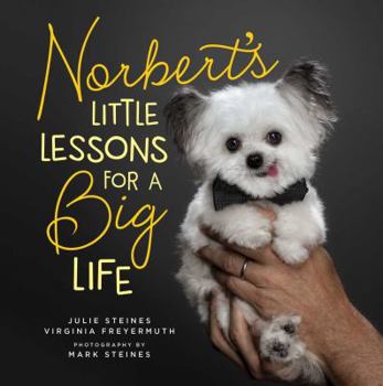 Hardcover Norbert's Little Lessons for a Big Life Book