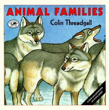 Hardcover Animal Families Book