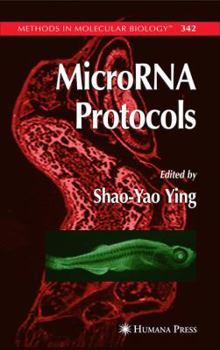 Paperback Microrna Protocols Book