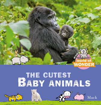 Hardcover The Cutest Baby Animals Book