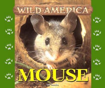 Hardcover Mouse Book
