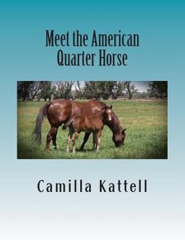 Paperback Meet the American Quarter Horse Book