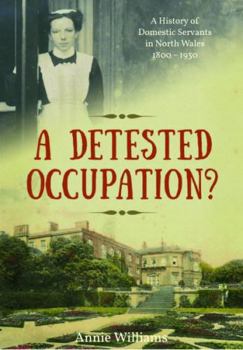 Paperback A Detested Occupation? Book