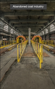 Paperback Abandoned coal industry Book