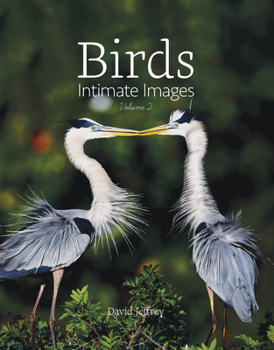 Hardcover Birds: Intimate Images Volume 2 Book