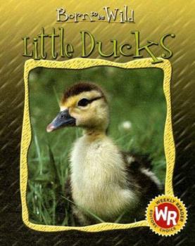 Little Ducks (Born to Be Wild) - Book  of the Nacidos Para Ser Salvajes / Born to be Wild