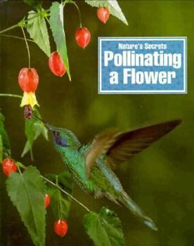 Hardcover Pollinating a Flower Book