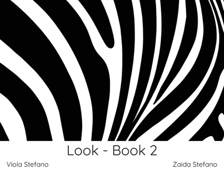 Paperback Look - Book 2: VI Book