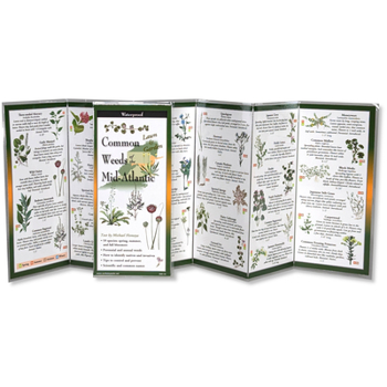 Common Weeds of the Mid-Atlantic