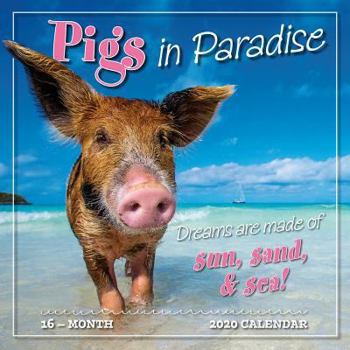 Calendar 2020 Pigs in Paradise 16-Month Wall Calendar: By Sellers Publishing Book