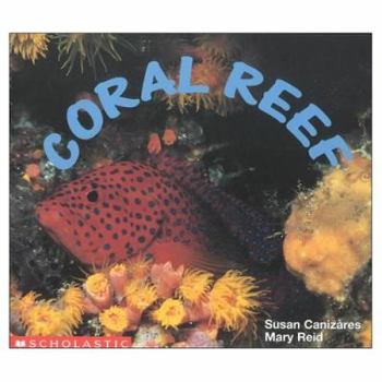 Paperback Coral Reef Book