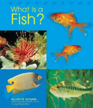 Hardcover What Is a Fish? Book