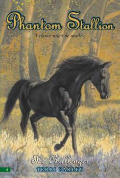 The Challenger - Book #6 of the Phantom Stallion