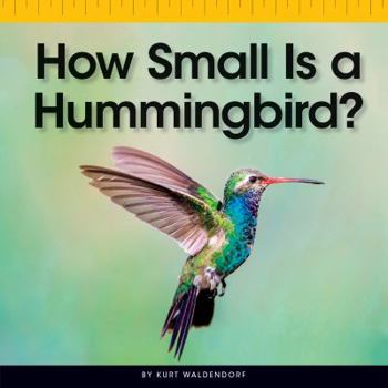 Library Binding How Small Is a Hummingbird? Book