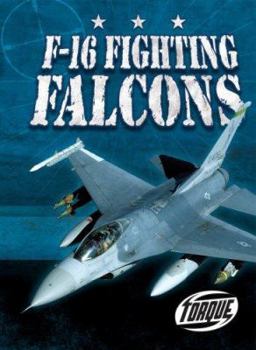 Library Binding F-16 Fighting Falcons Book