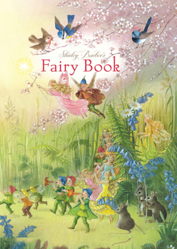 Hardcover Fairy Book