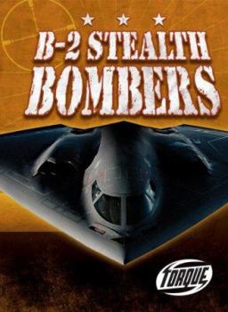 Library Binding B-2 Stealth Bombers Book