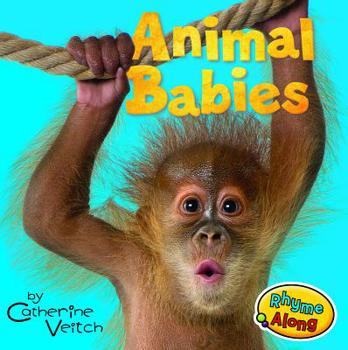 Board book Animal Babies Book