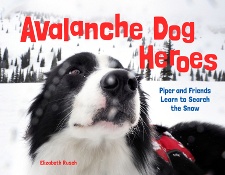 Hardcover Avalanche Dog Heroes: Piper and Friends Learn to Search the Snow Book