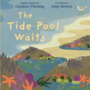 Paperback The Tide Pool Waits Book
