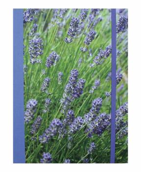 Stationery Lavender Blue Hardback Notebook Book