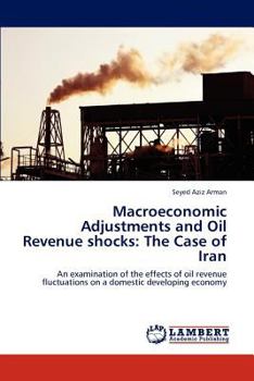 Paperback Macroeconomic Adjustments and Oil Revenue Shocks: The Case of Iran Book