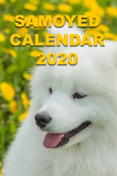 Samoyed Calendar 2020: Calendars Gift 110 Pages 6x9 Soft Cover Matte Finish