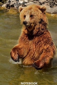 Notebook: Wild Nature Series, Bear, Journal for Writing, College Ruled, Lined Notebook, Soft Cover, Matte, Size 6"x 9" inches, 120 Pages