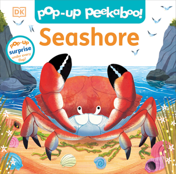 Board book Pop-Up Peekaboo! Seashore: A Beachy Surprise Under Every Flap! Book