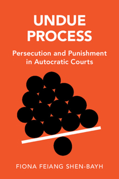 Paperback Undue Process Book
