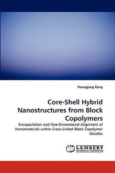 Paperback Core-Shell Hybrid Nanostructures from Block Copolymers Book
