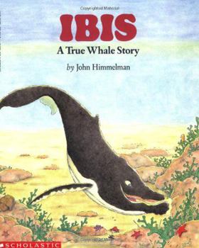 Paperback Ibis: A True Whale Story Book